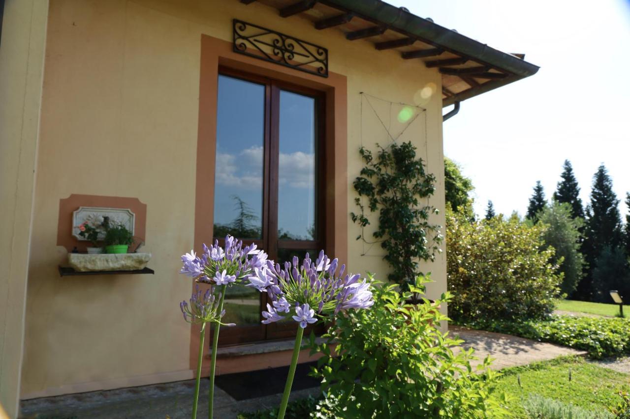 Apartament Agrifoglio Pantalla Zewnętrze zdjęcie