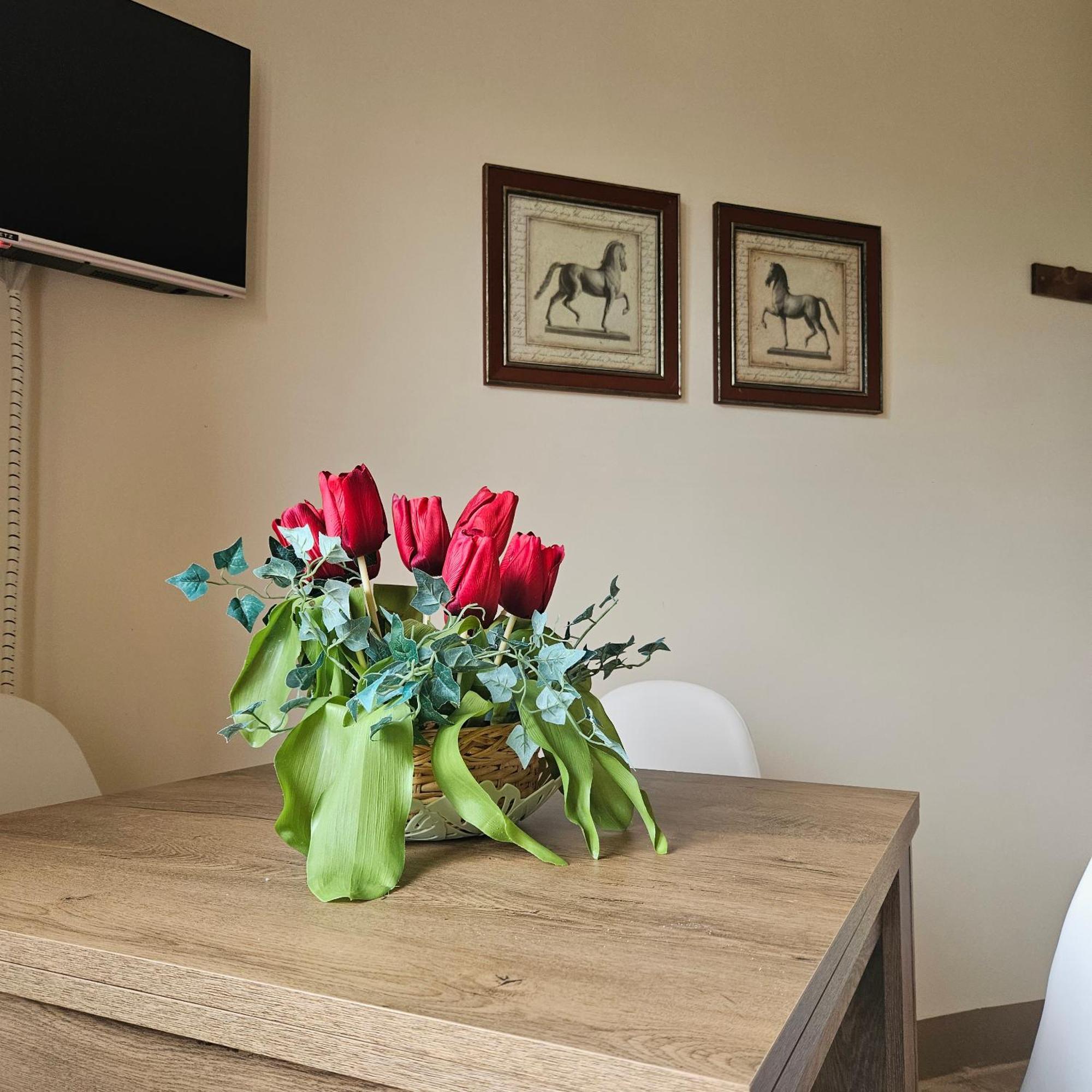 Apartament Agrifoglio Pantalla Zewnętrze zdjęcie